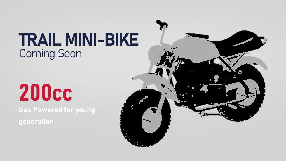 Offroad Mall New Series Mini Bike